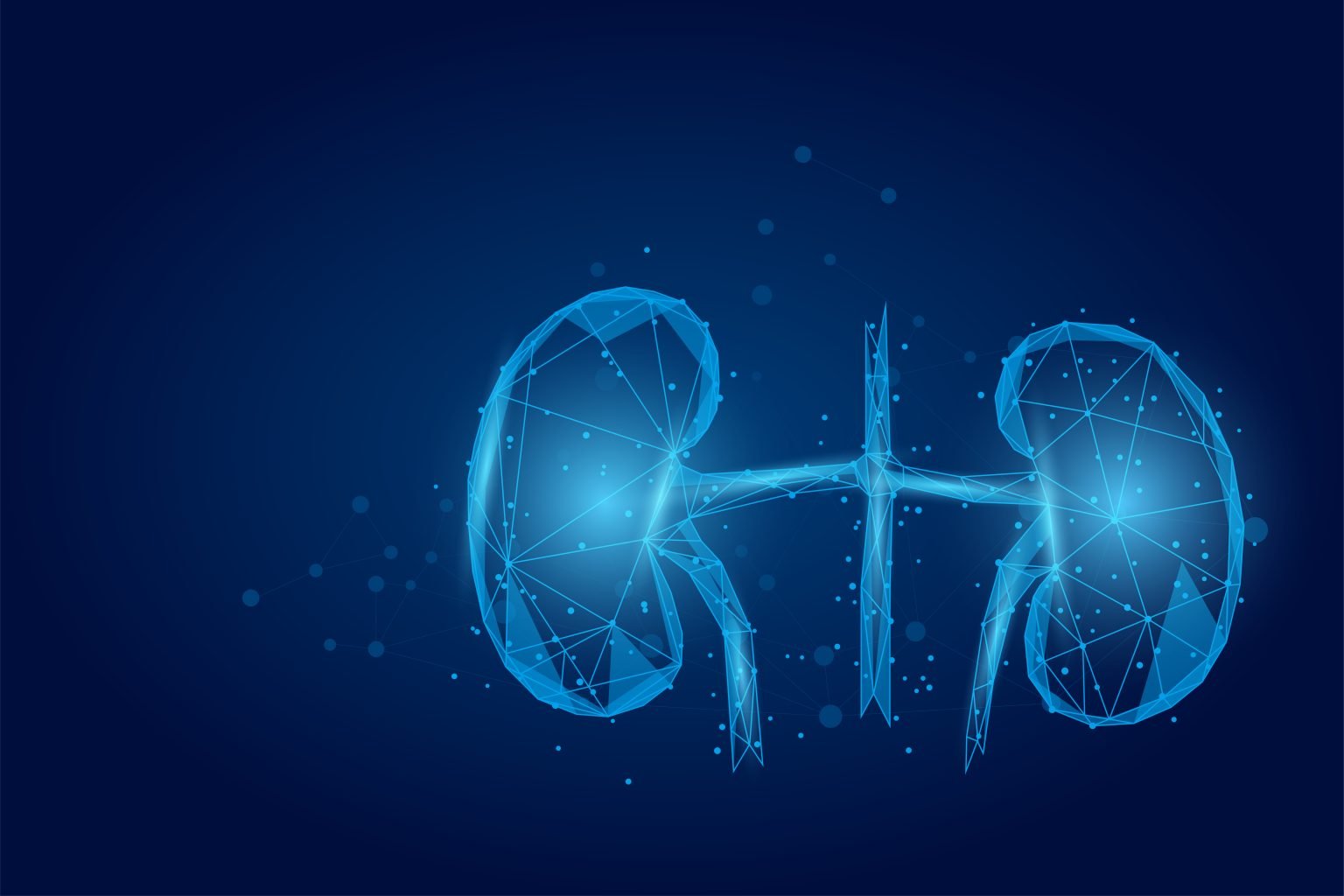 Kidney Disease Explained