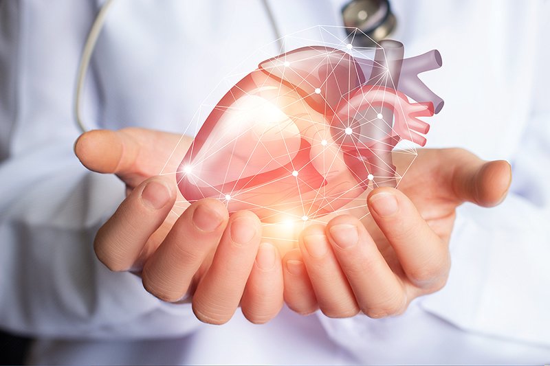 What Is Cholesterol?